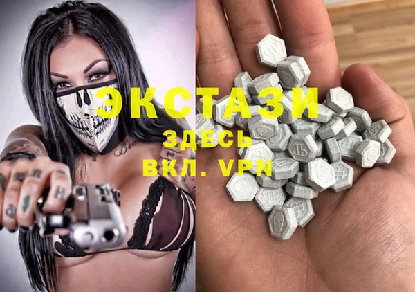 индика Новозыбков