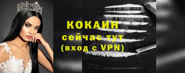 шишки Нефтегорск