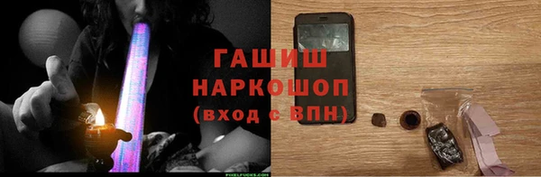 индика Новозыбков