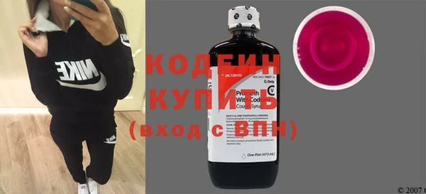 индика Новозыбков