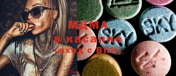 индика Новозыбков