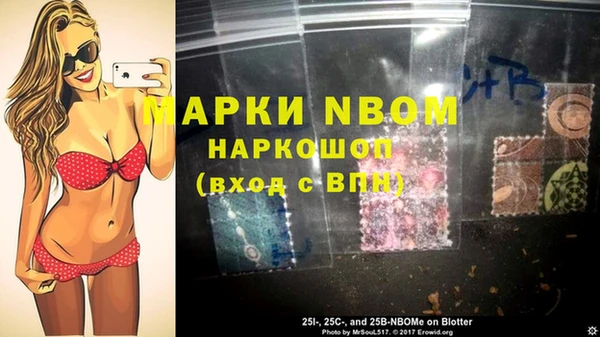 индика Новозыбков