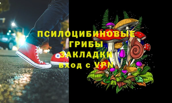герыч Новодвинск