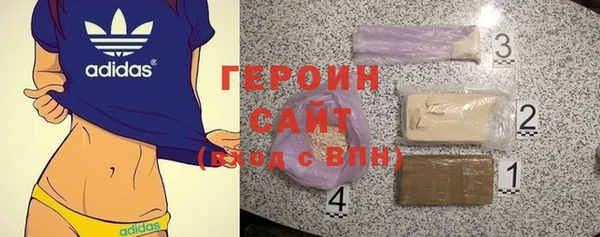 индика Новозыбков