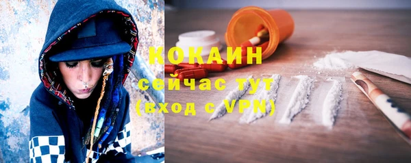 шишки Нефтегорск