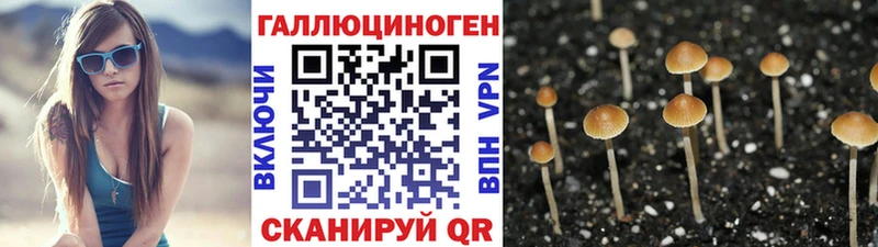 Псилоцибиновые грибы GOLDEN TEACHER  omg онион  Межгорье  что такое наркотик 